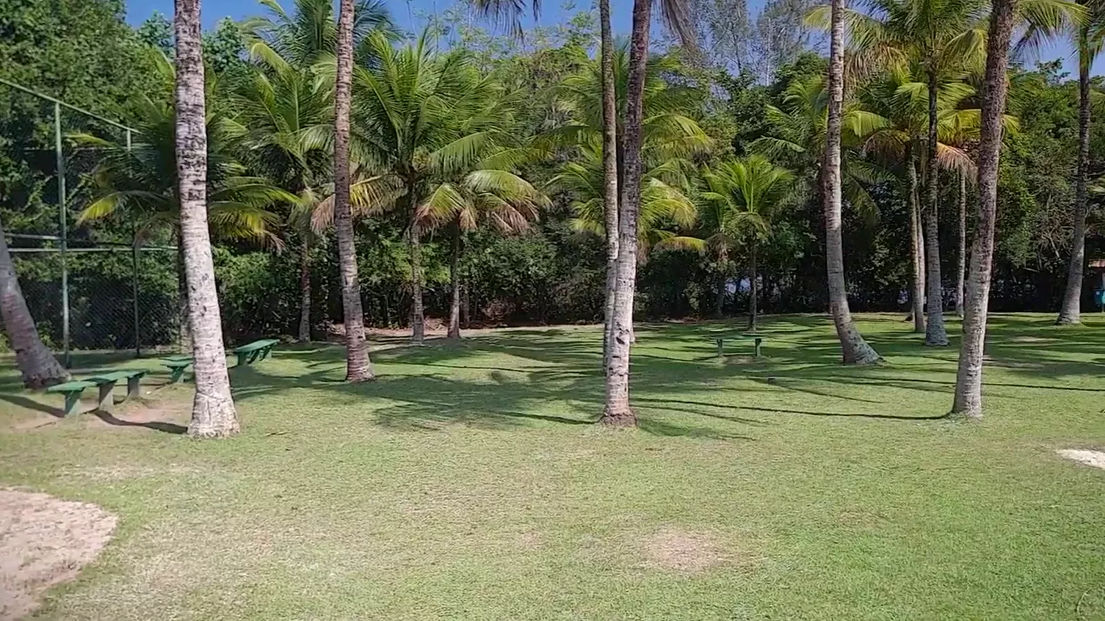 Bosque do CEPE do CEPE RIO